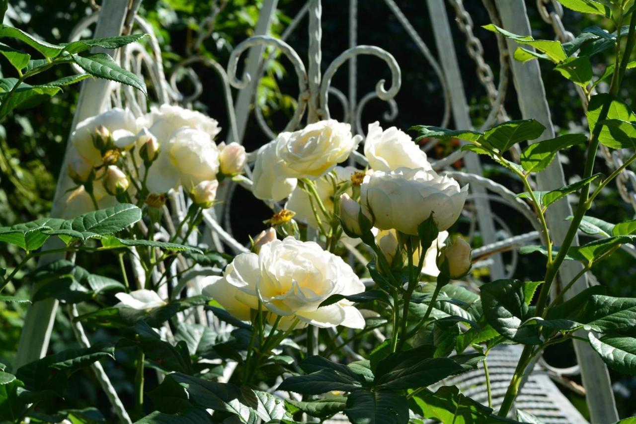 Вилла Lesna 6 - House With A Garden Bolechowice Экстерьер фото