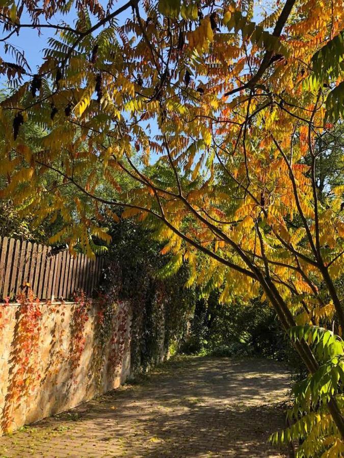 Вилла Lesna 6 - House With A Garden Bolechowice Экстерьер фото