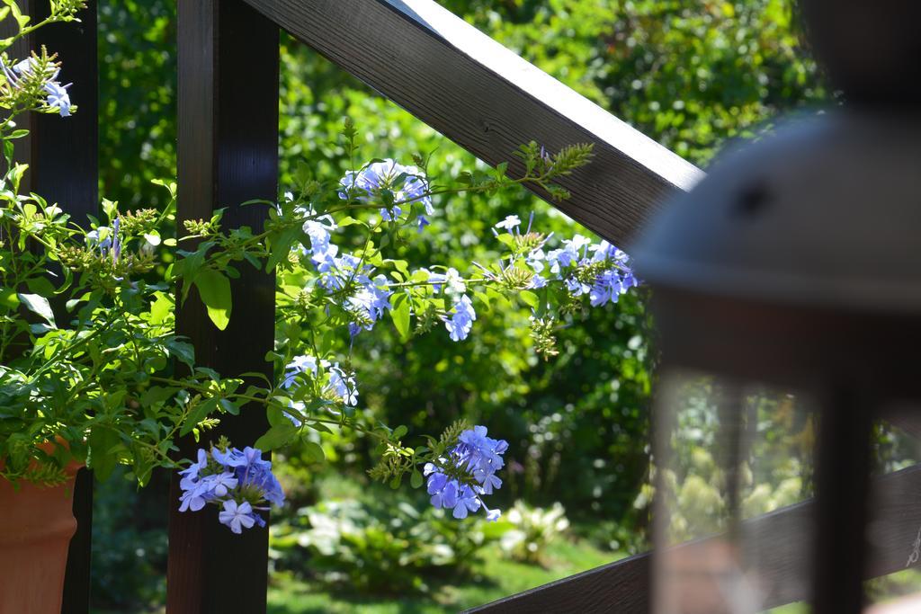 Вилла Lesna 6 - House With A Garden Bolechowice Экстерьер фото